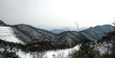 호명산 능선.