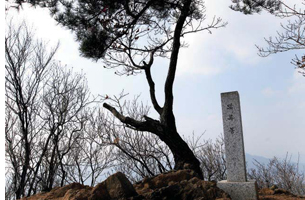 뾰루봉 정상.