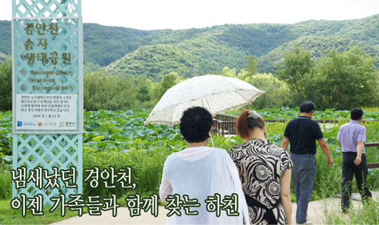 철새들이 다시 경안천으로 돌아온 까닭
