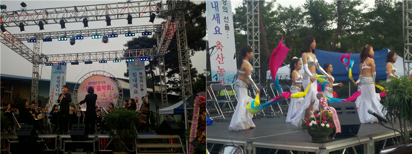 이 날 공연에서는 밸리댄스, 색소폰연주, A&B 심포니 오케스트라 연주가 진행되었다.