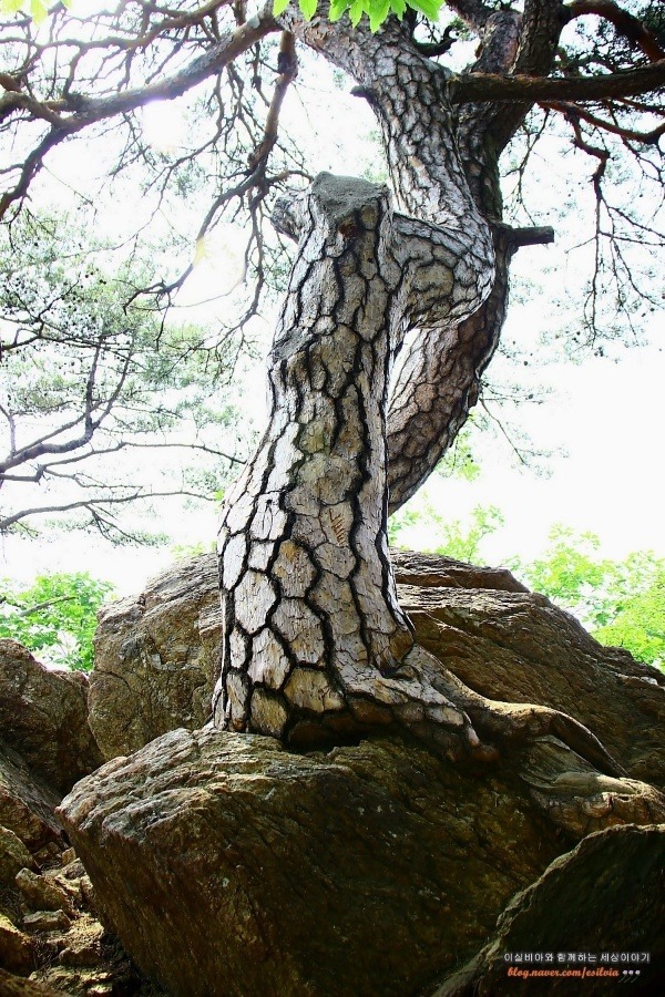 원효의 발자취를 느낄 수 있는 경기도 소요산 의상대 산행 코스 소개