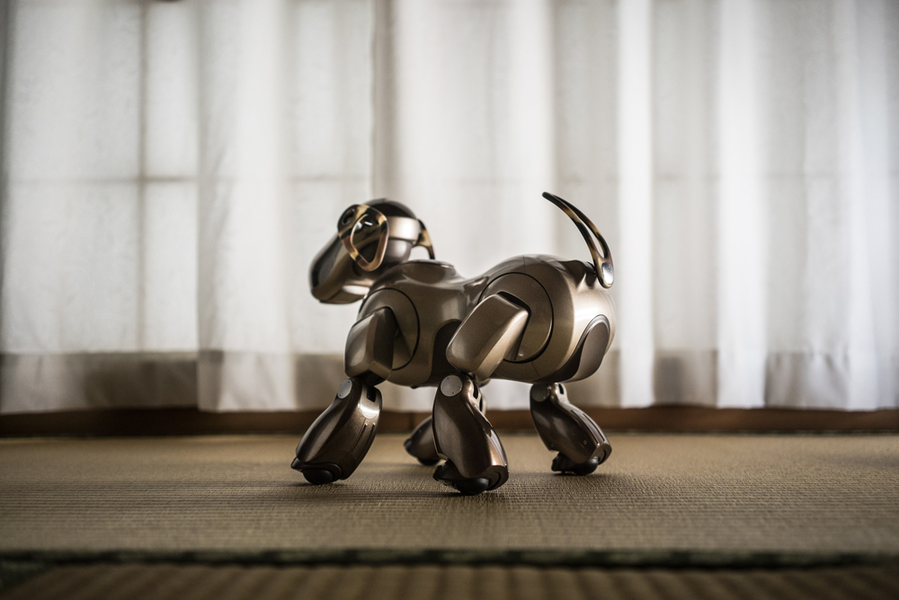 로봇 애완견 ‘아이보’가 생명이 있다고 믿으며 키우는 노부부. 그들의 ‘아이보’를 지키기 위한 따뜻한 노력.