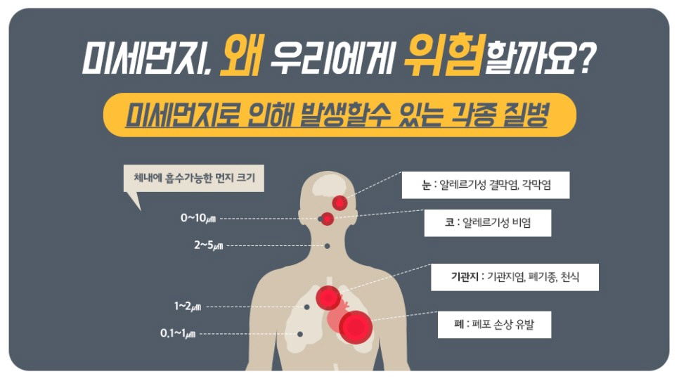 건조한 겨울철, 심해지는 황사 피하세요 미세먼지 정보 문자 신청하기!