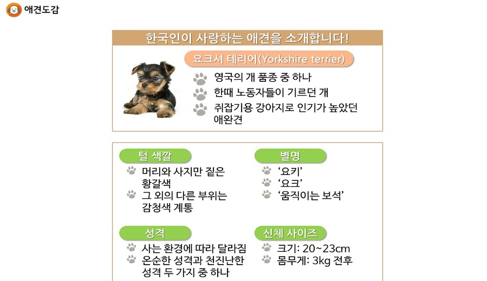 ‘반려견의 행복한 이야기’ 강의에는 반려견에 관련한 기본지식 외에도 함께 알아두면 좋을 상식 정보들이 담겨 있다. 강좌 화면 캡처.