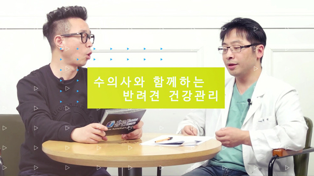 이웅종 교수와 함께하는 강의 외에 윤원경 수호천사 동물병원 원장과 함께하는 반려견, 반려묘 건강관리 강의도 마련돼 있다. 강좌 화면 캡처.