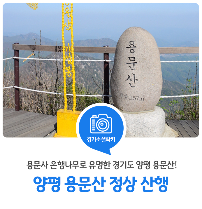 용문사 은행나무로 유명한 경기도 양평 용문산! 양평 용문사 정상 산행