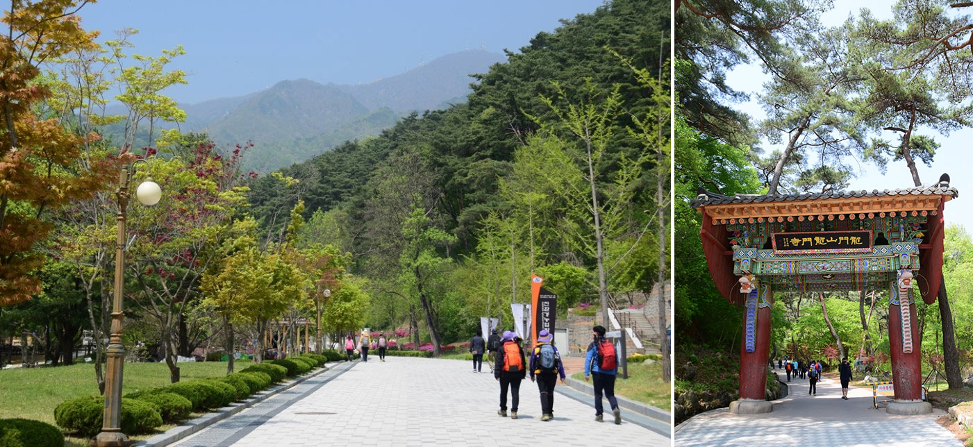 등산하기 딱 좋은 계절! 경기도 양평 용문사 은행나무로 유명한 `용문산` 정상 산행
