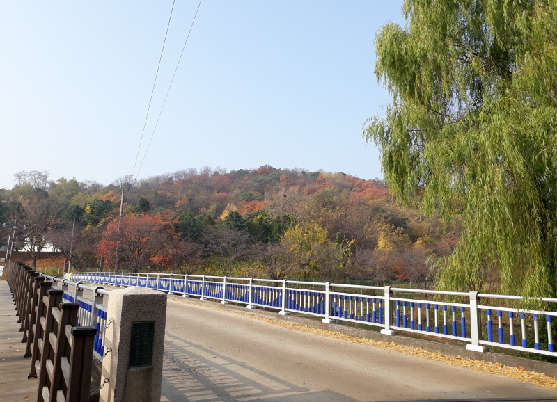 서호공원 입구에서 여기산의 모습이 보인다. 