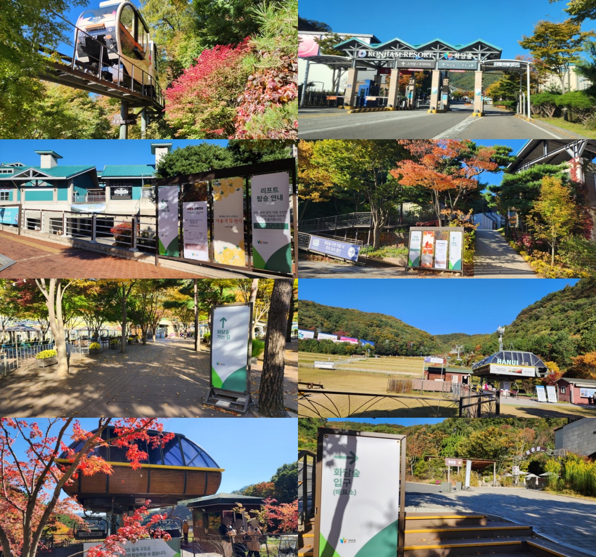 [경기도민기자단] 단풍명소 경기도 광주`화담숲`에서 가을 산책