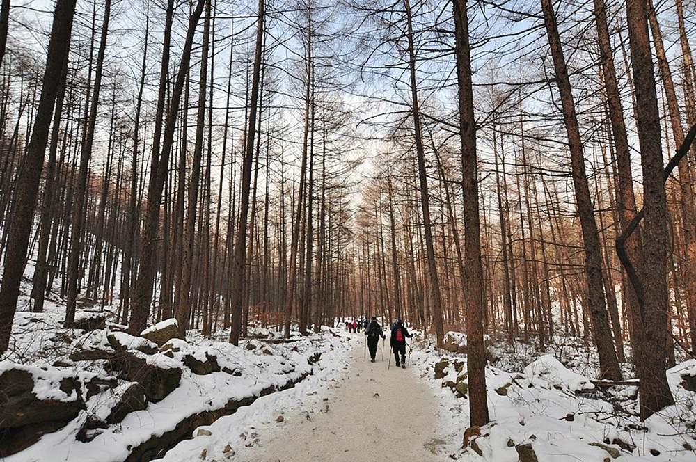 검단산은 백제 검단선사가 은거한 곳이라 하여 명명된 산으로 겨울에 방문하면 탁 트인 전경과 정상에서 바라본 풍경이 멋지기로 유명하다.