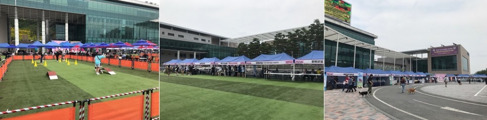 반려동물 놀이터 등 축제 부스 