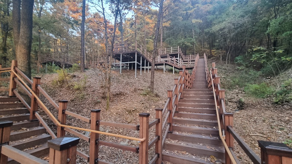 등산로
