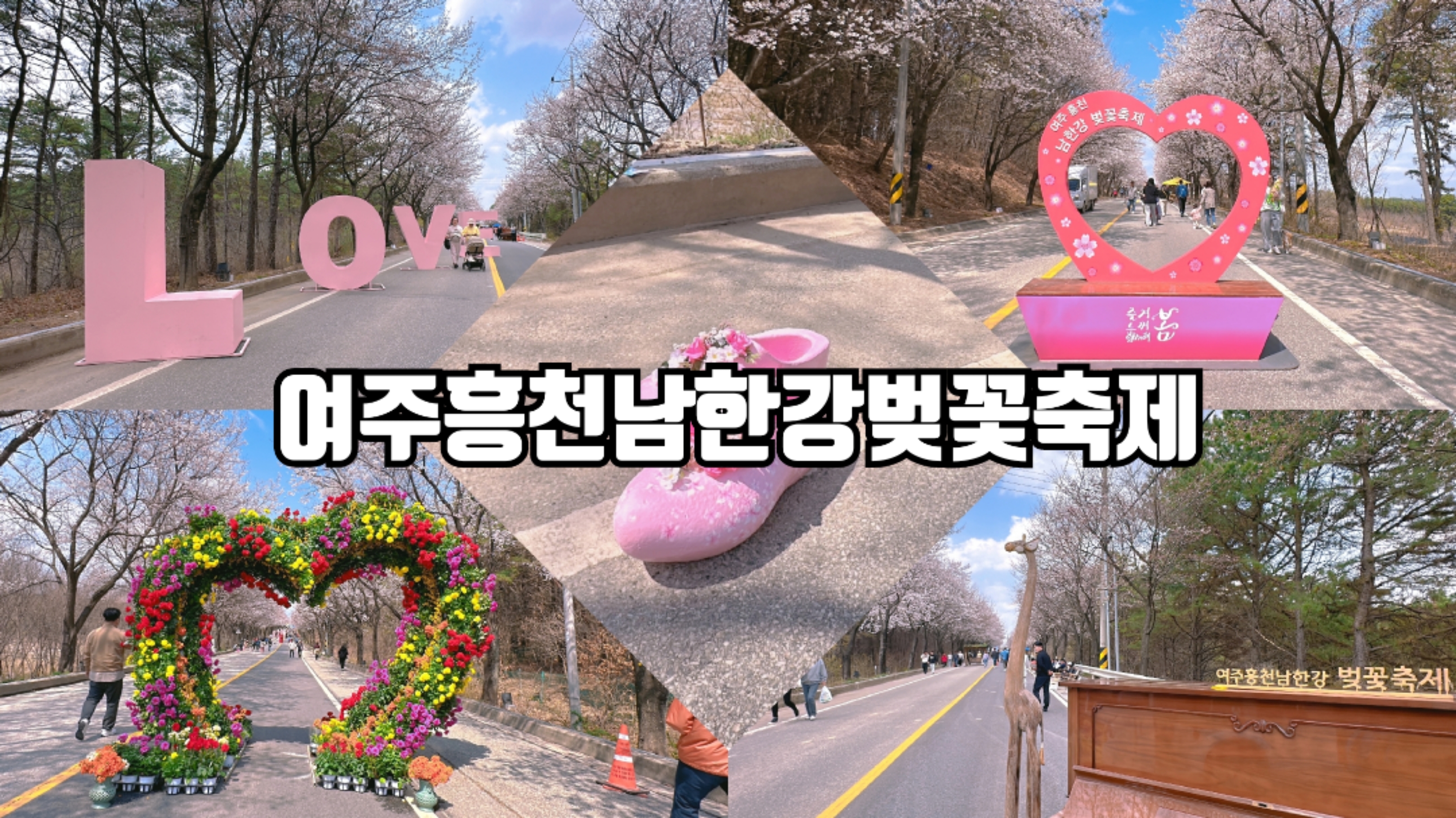 여주 흥천 남한강 벚꽃축제