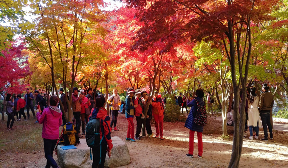 소요산은 587m의 그리 높지 않은 산인데요. 현자들이 소요하는 산이라는 명칭에 어울리게 수많은 사람이 산을 찾습니다.