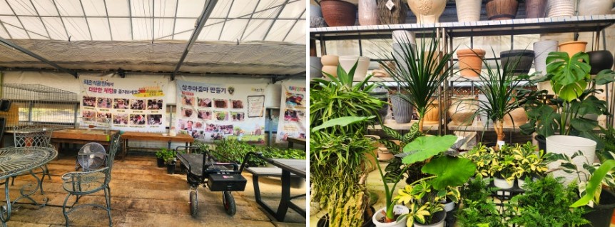 퇴촌식물원