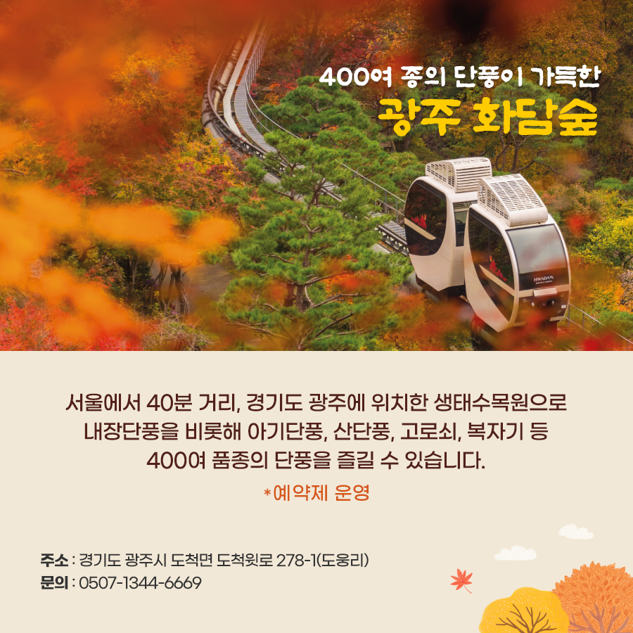 400여 종의 단풍이 가득한 광주 화담숲. 서울에서 40분 거리, 경기도 광주에 위치한 생태수목원으로 내장단풍을 비롯해 아기단풍, 산단풍, 고로쇠, 복자기 등 400여 품종의 단풍을 즐길 수 있다.