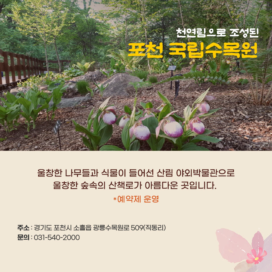 천연림으로 조성된 포천 국립수목원. 울창한 나무들과 식물이 들어선 산림 야외박물관으로 울창한 숲속의 산책로가 아름다운 곳.