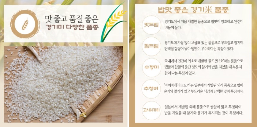 다양한 경기미 품종