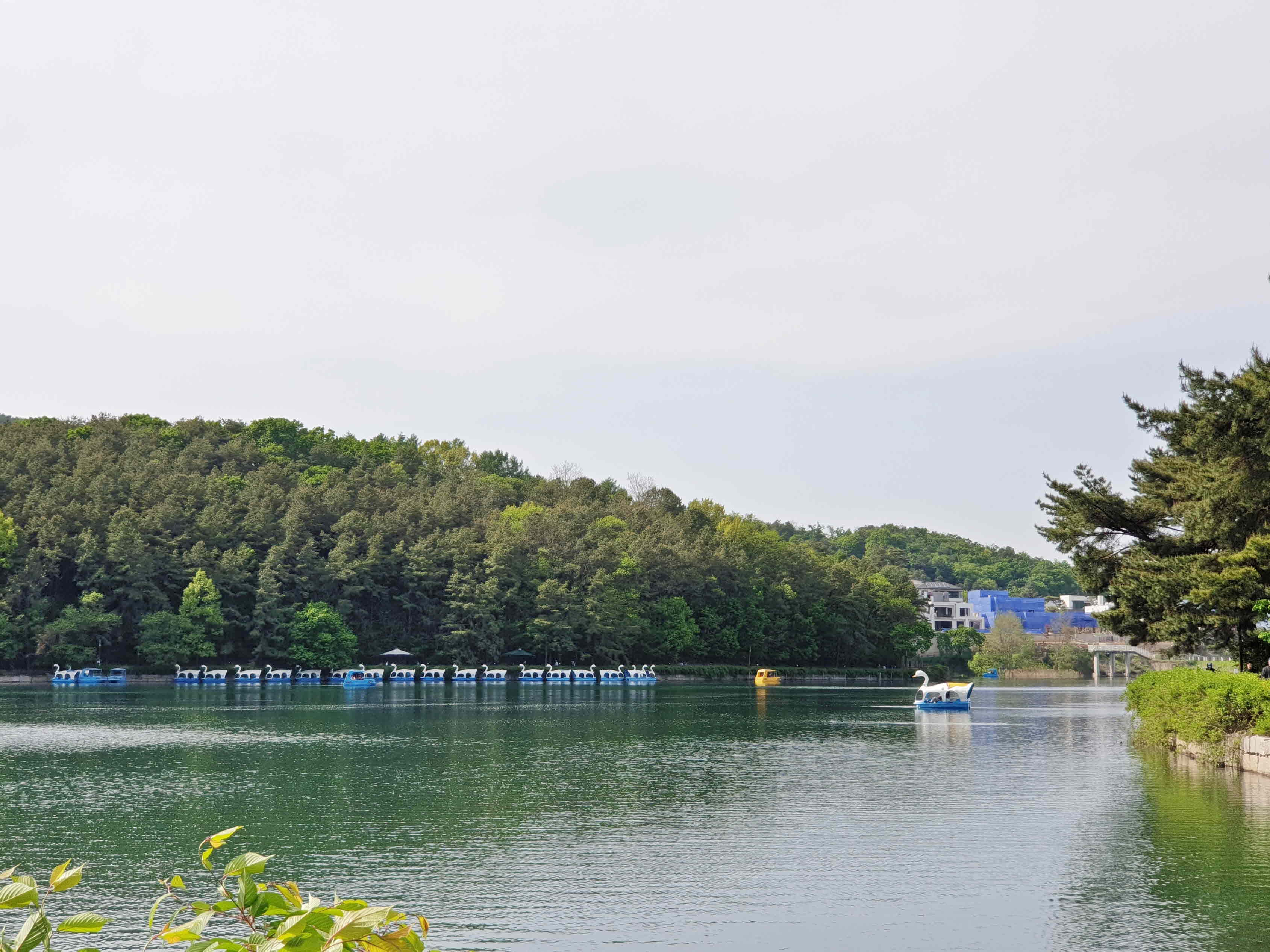 고모호수공원 여름 풍경