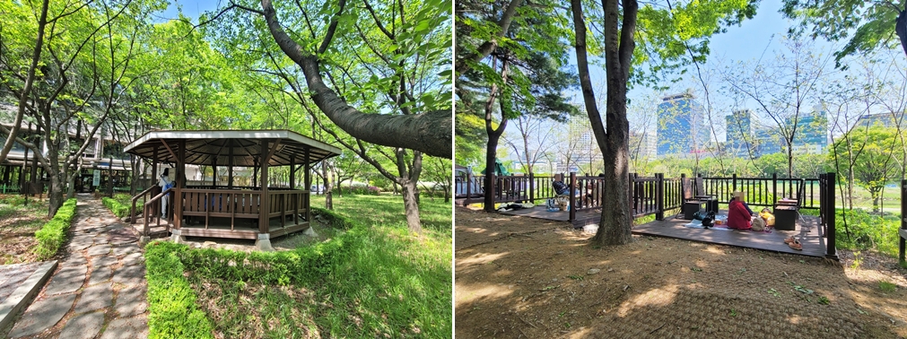 마루공원 피크닉장 정자 / 마루공원 피크닉장 풍경
