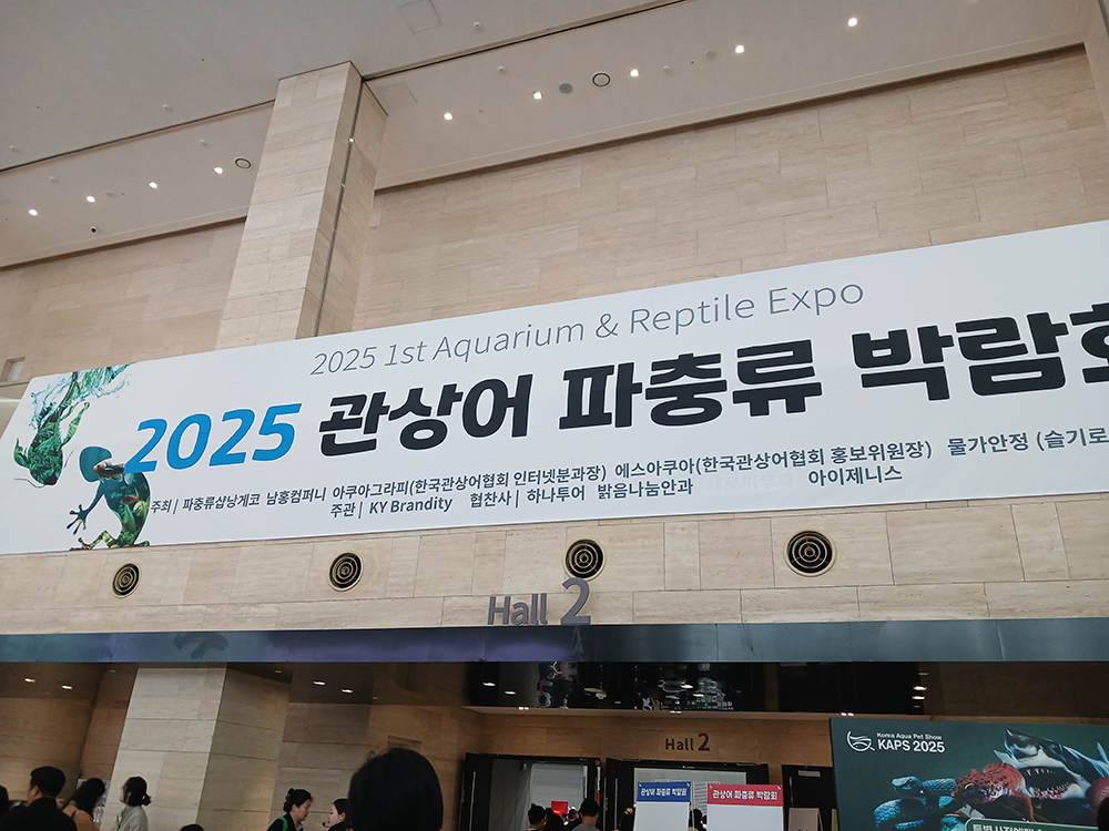 2025 관상어 파충류 박람회가 열린 수원컨벤션센터