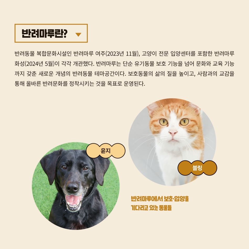 반려마루는 반려동물 복합문화시설로 반려마루 여주(2023년 11월), 고양이 전문 입양센터를 포함한 반려마루 화성(2024년 5월)이 각각 개관했습니다. 반려마루는 단순 유기동물 보호 기능을 넘어 문화와 교육기능까지 갖춘 새로운 개념의 반려동물 테마공간입니다. 보호동물의 삶의 질을 높이고 사람과의 교감을 통해 올바른 반려문화를 정착시키는 것을 목표로 운영하고 있습니다. @ 경기도청