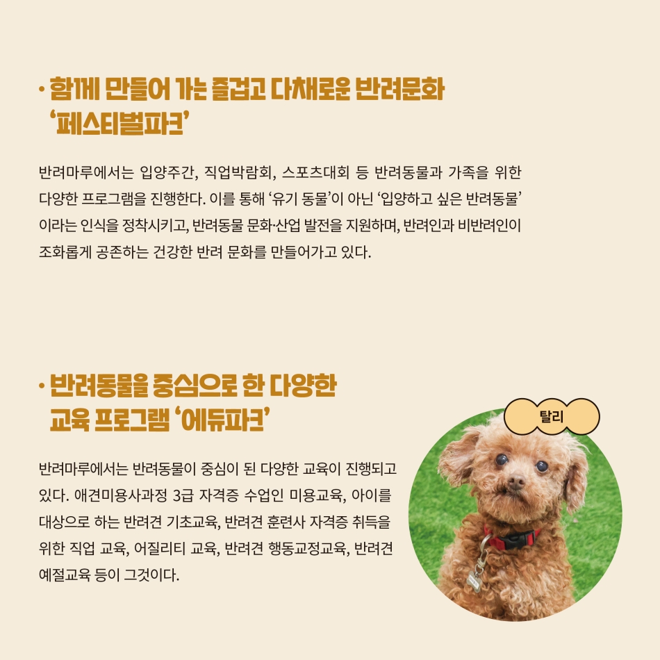 반려마루에서는 입양주간, 직업박람회 등 반려동물과 가족을 위한 다양한 프로그램도 운영합니다. 이를 통해 ‘유기 동물’의 인식을 바꾸고 반려동물 문화, 산업 발전 지원, 반려인과 비반려인이 공존하는 건강한 반려 문화를 만들어가고 있습니다. 반려마루에서는 애견미용사과정 3급 자격증 수업인 미용교육과 반려견 기초교육, 반려견 훈련사 자격증 취득을 위한 직업교육, 반려견 행동교정교육 및 예절교육 등도 진행하고 있습니다. @ 경기도청