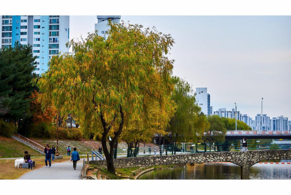 탄천은 한강의 지류 중 드물게 남쪽(용인)에서 발원해 북쪽(한강)으로 흐르는 독특한 지형적 특징을 가지고 있다. ⓒ경기뉴스광장 김지호