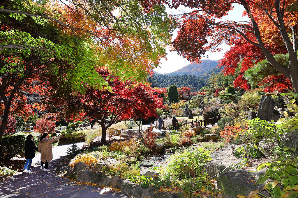 가평 아침고요수목원 ⓒ경기뉴스광장 허선량.