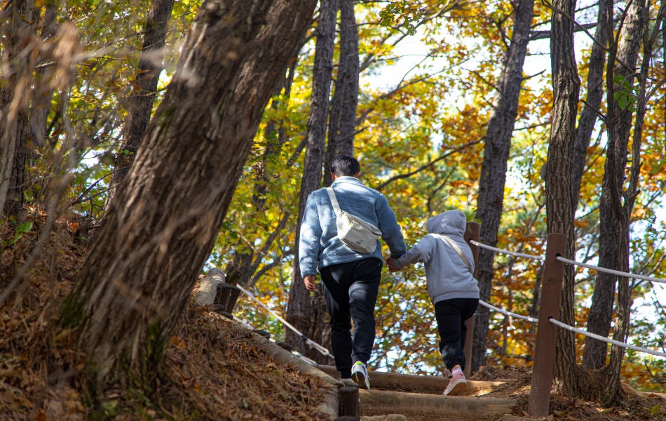 광명 구름산 산림욕장 ⓒ경기관광공사
