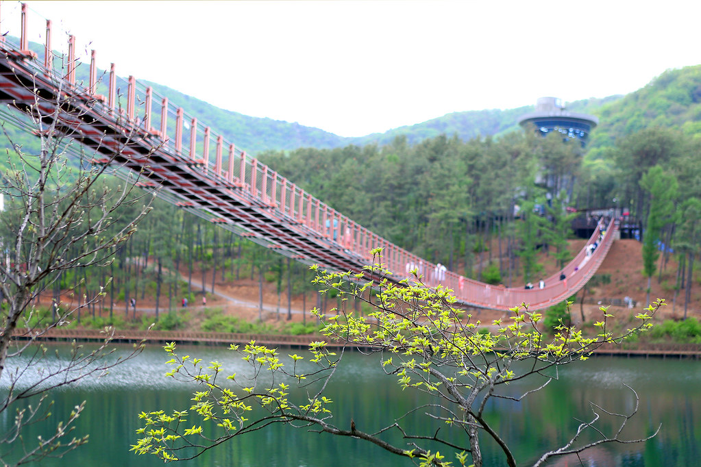 총길이 220m 현수교인 마장호수 출렁다리는 물빛 풍경이 아름다운 마장호수에서 가장 인기있는 명소다. ⓒ경기뉴스광장 허선량