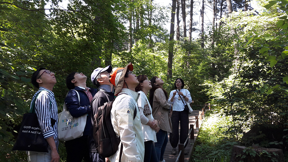 잣향기푸른숲은 다양한 시설을 갖추고 도민들에게 즐거움을 선사하고 있다. ⓒ 경기도청