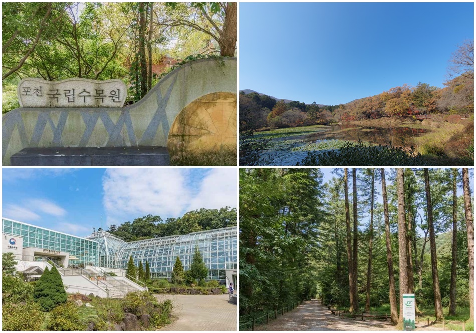 포천 광릉숲 국립수목원. ⓒ대한민국 구석구석