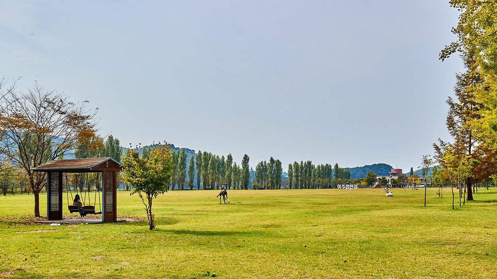 남한강 상류에 위치한 강천섬은 탁 트인 전경과 남한강, 높이 솟은 은행나무 길이 펼쳐진 힐링 섬이다. ⓒ경기뉴스광장 김지호