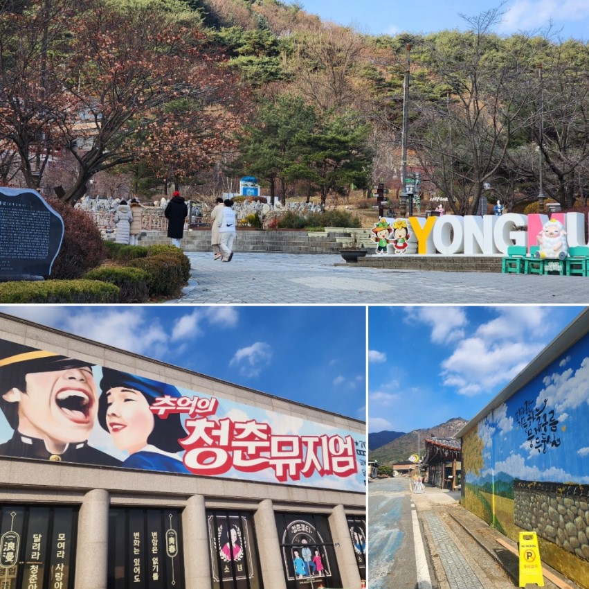 노랗게 물든 은행나무의 향연으로 유명한 용문산관광단지는 대한민국 대표 가을 단풍 명소이다. ⓒ경기뉴스광장