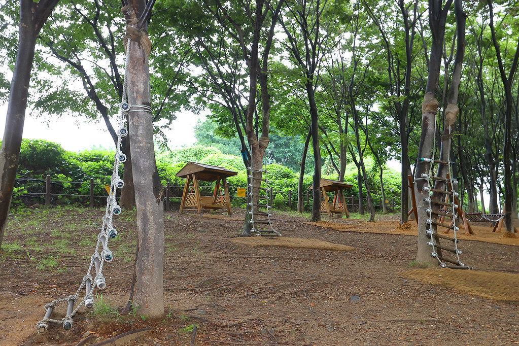 나무고아원은 도시개발사업 등으로 버려질 나무들을 옮겨 심고 가꾸어 가로수나, 공원, 녹지대 조경수로 새롭게 태어나는 목적으로 조성한 곳이다. ⓒ경기뉴스광장 허선량