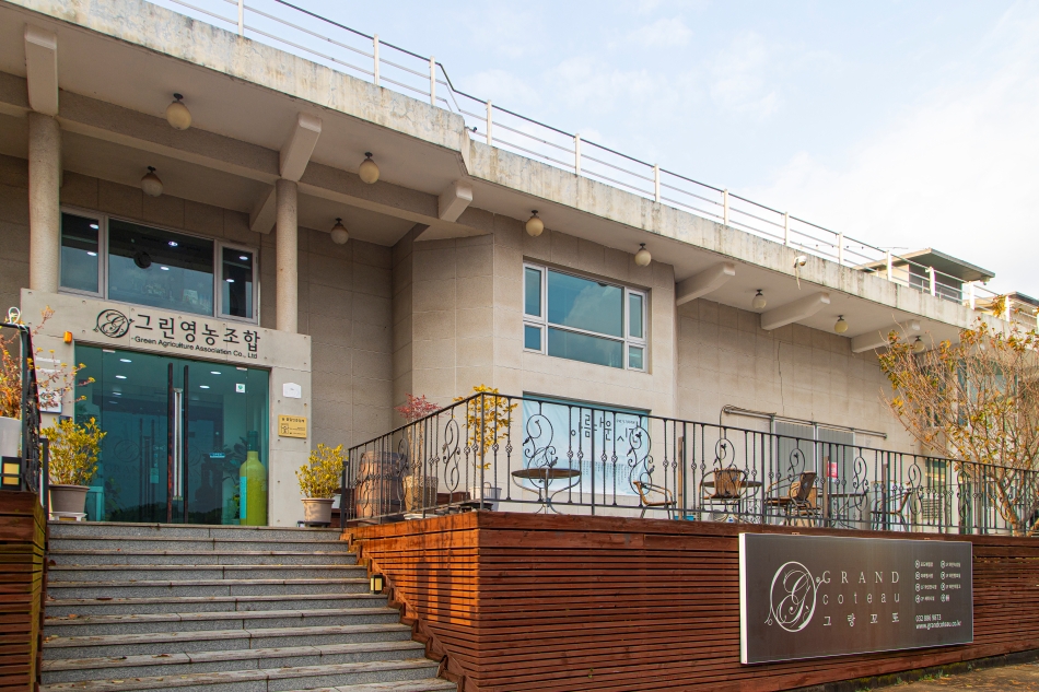 안산 그랑꼬또 와이너리에서 생산되는 포도는 미네랄이 풍부하고 적당한 습도와 큰 일교차로 당도도 높다. 그 포도로 만들어진 &lsquo;청수 와인&rsquo;은 2025년 경주 APEC 공식 만찬주로 선정되기도 했다. @ 경기관광공사 출처