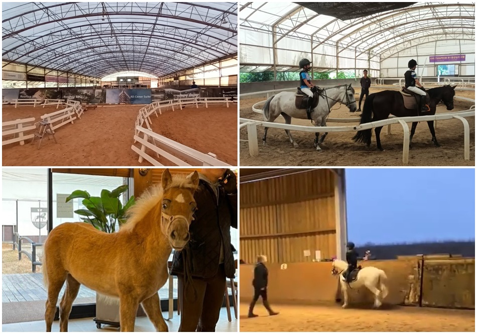 남서울승마클럽. ⓒ남서울승마클럽 인스타그램