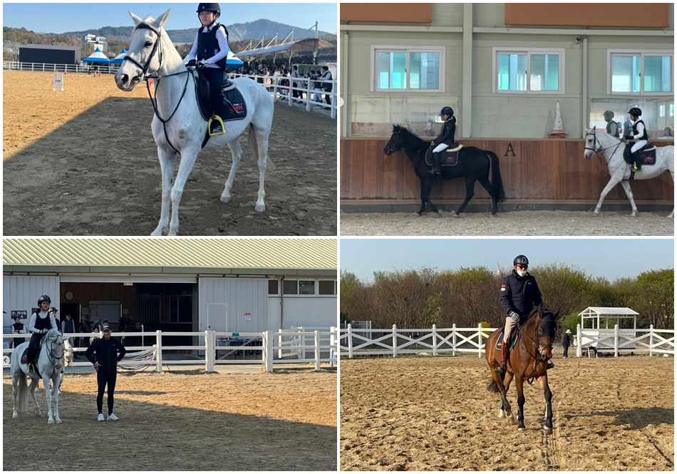 금강홀스랜드. ⓒ금강홀스랜드 인스타그램