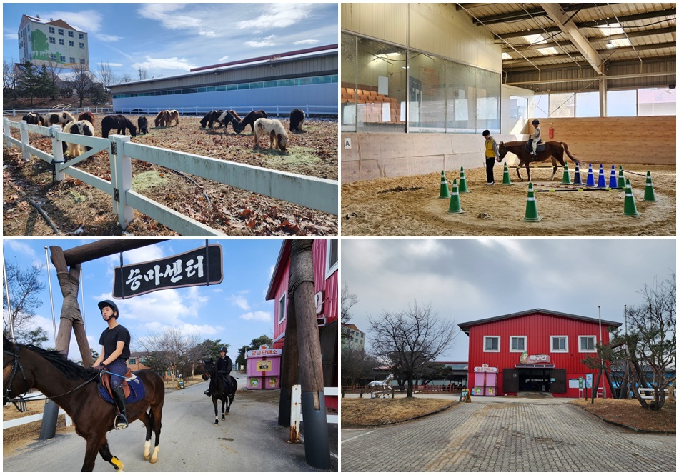 농협안성팜랜드 승마센터. ⓒ농협안성팜랜드 승마센터