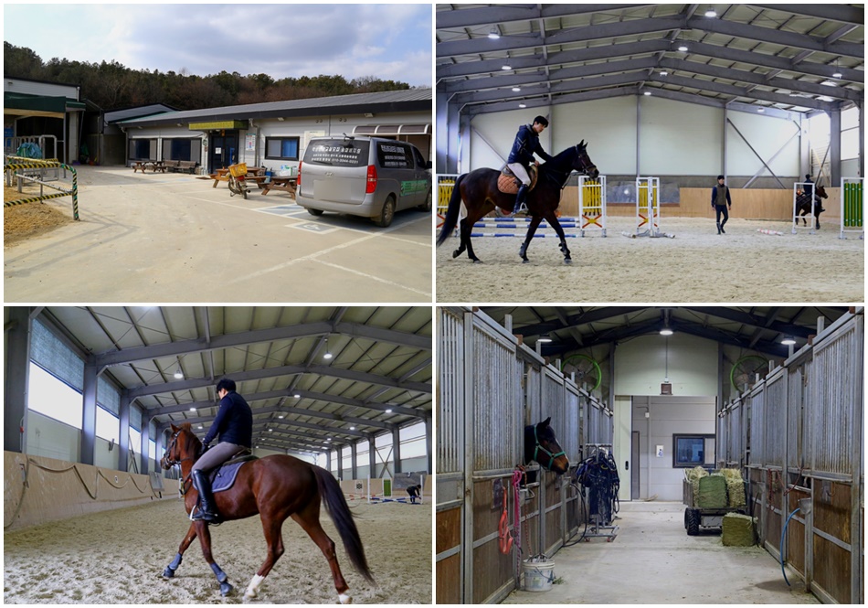 비봉승마장. ⓒ화성시 공식 블로그