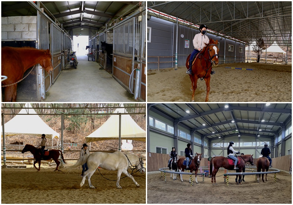 산들래승마클럽. ⓒ화성시 공식 블로그