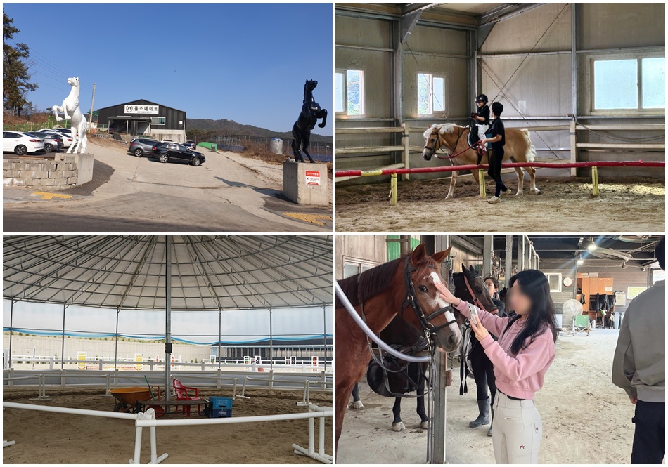 홀스메이트 승마클럽 ⓒ경기관광 포털, 홀스메이트