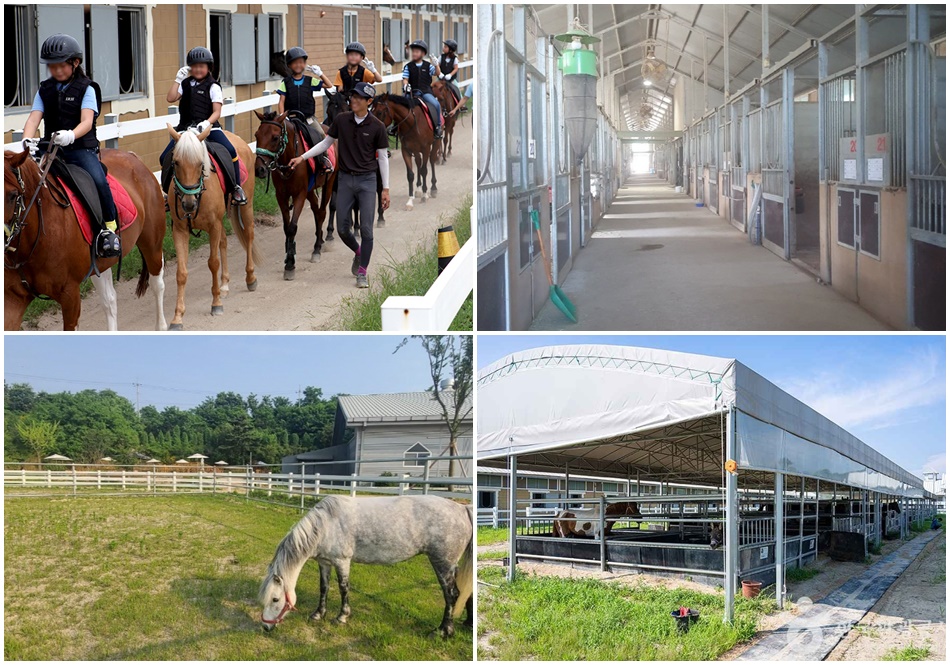 궁평캠프. ⓒ농업회사법인㈜궁평캠프