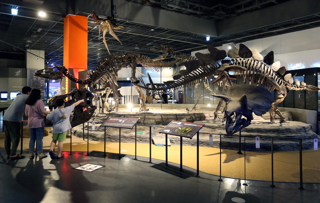 국립과천과학관은 국내 최대 규모의 과학관으로, 과학기술을 놀이처럼 즐길 수 있는 매력적인 과학 문화 체험시설이다. ⓒ 경기뉴스광장