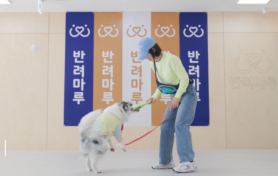 경기도민이라면 누구나 참여할 수 있는 반려동물 교감 활동 프로그램을 운영한다.자료사진. ⓒ경기도청