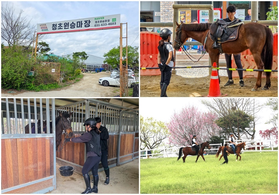 청초원 승마장. 자료 사진. ⓒ이천시 공식 블로그