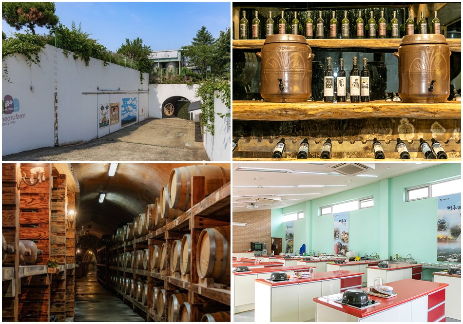 파주 산머루농원. 자료 사진. ⓒ경기관광 포털, 대한민국 구석구석