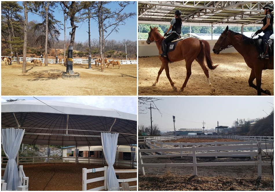 솔밭승마클럽. 자료 사진. ⓒ이천시 문화관광 누리집