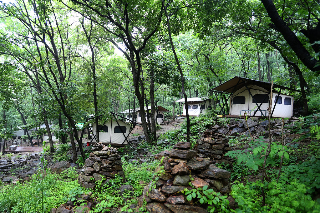 &lsquo;바라산 자연휴양림&rsquo;은 울창한 숲과 다양한 자생식물 등 아름다운 자연경관 속에서 휴식을 취할 수 있는 휴양림이다. ⓒ경기뉴스광장